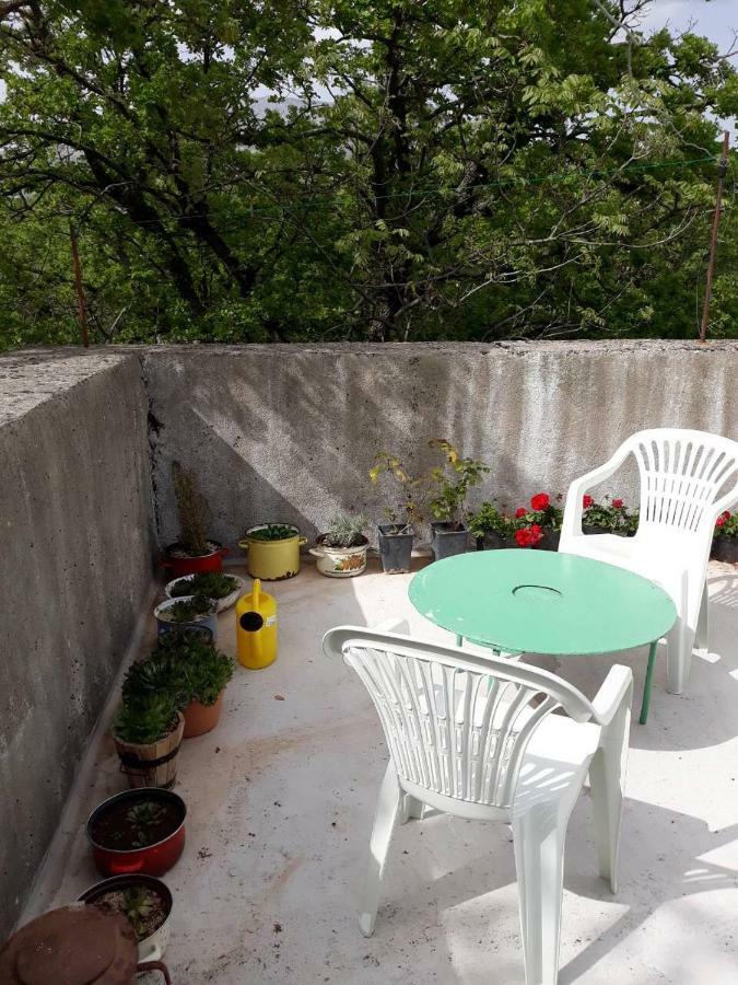 Apartman Milica Golubic  Exterior photo