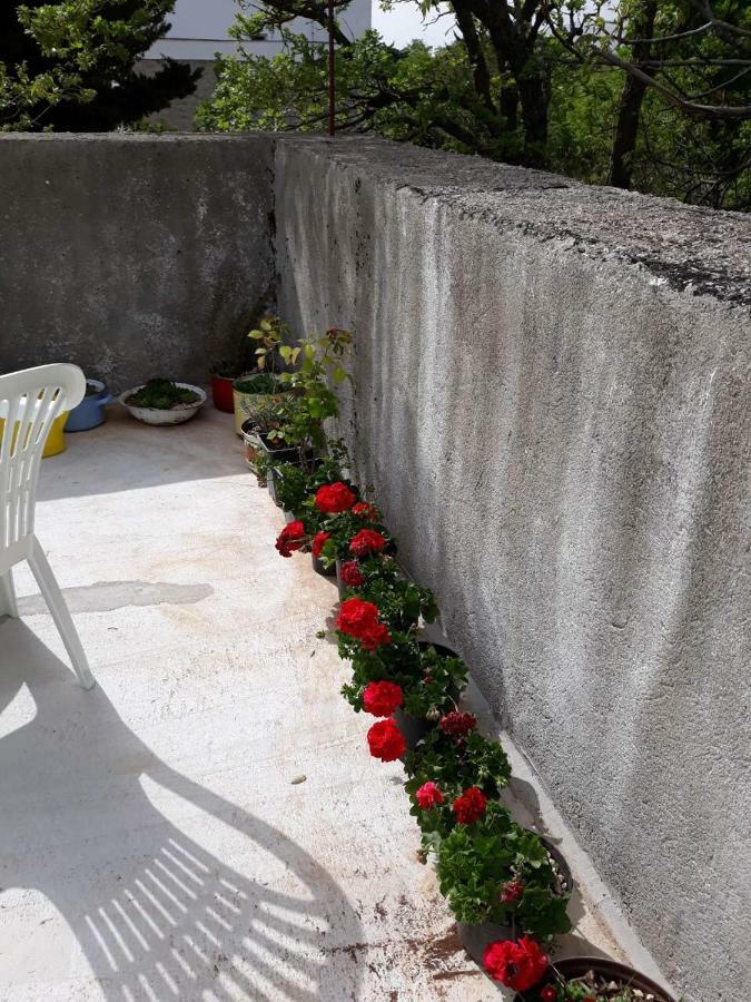 Apartman Milica Golubic  Exterior photo